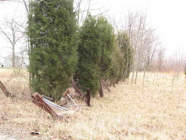 Lake Drive-In - 2006 Photo